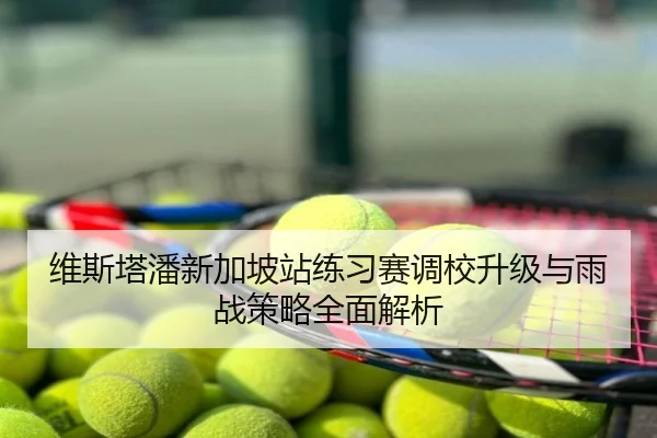 维斯塔潘新加坡站练习赛调校升级与雨战策略全面解析