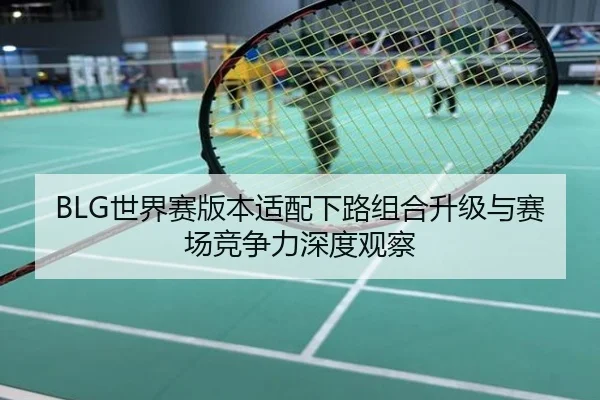 BLG世界赛版本适配下路组合升级与赛场竞争力深度观察